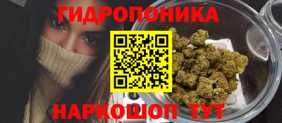 трава Кингисепп