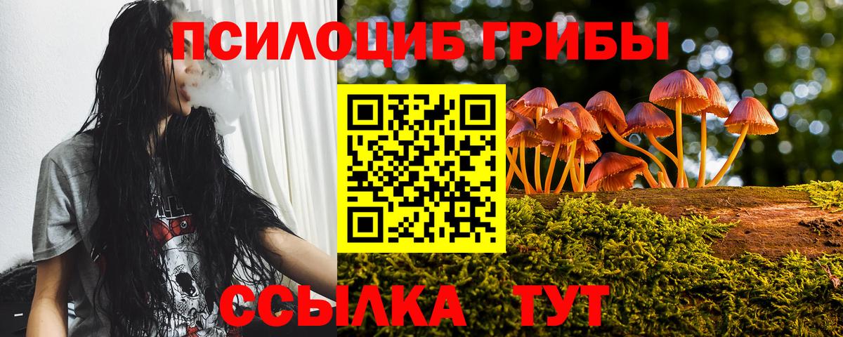 Псилоцибиновые грибы MAGIC MUSHROOMS  Новомосковск  где купить наркоту  Галлюциногенные грибы прущие грибы 
