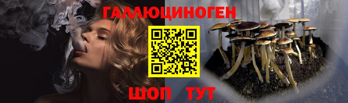цены наркотик  Вход с VPN  Новомосковск  Псилоцибиновые грибы Psilocybe 